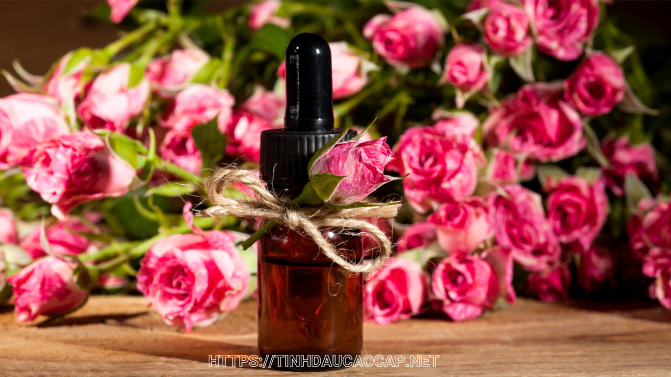 Tinh dầu hoa hồng có đặc tính kháng khuẩn